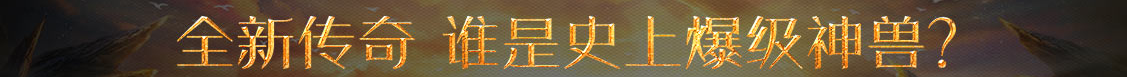 聚焦頻道